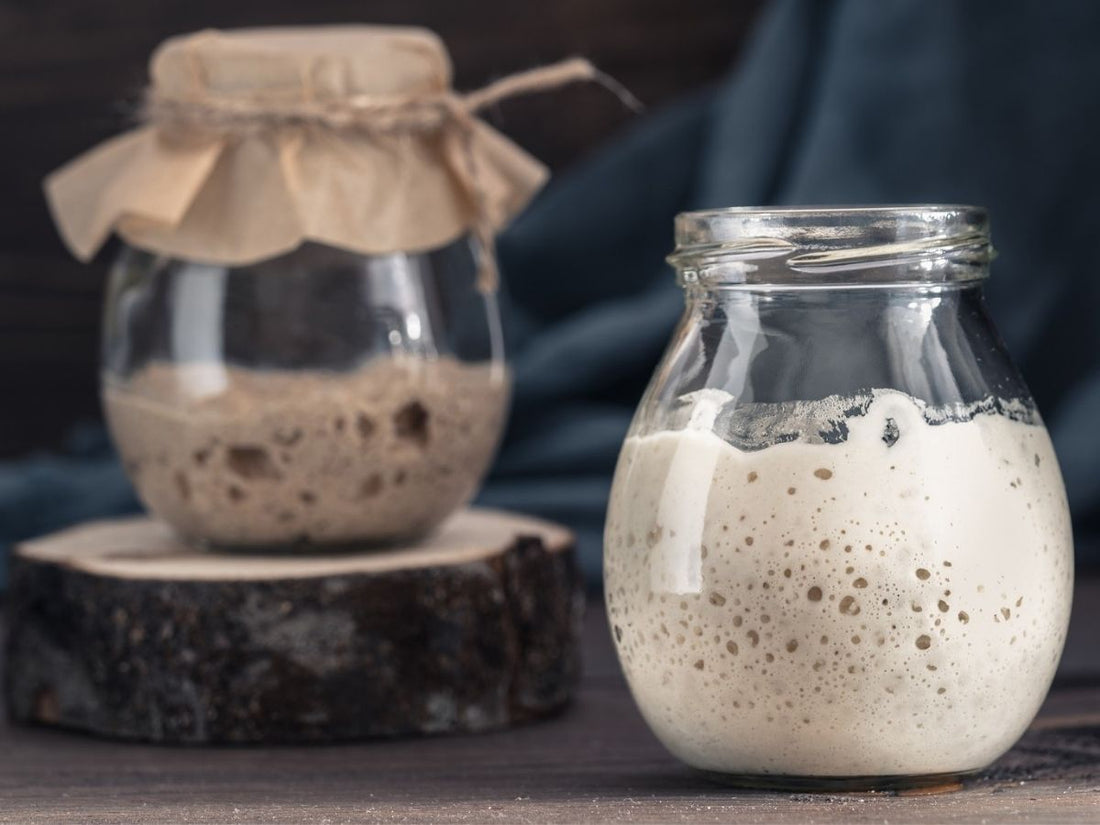sourdough starter in jar